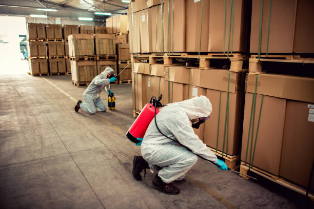 Best Rat Extermination Near Me  in Belvidere, NJ