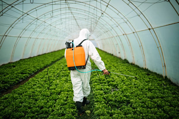Pest Control Cost in Belvidere, NJ