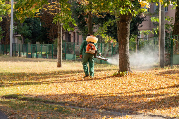 Best Pest Control for Businesses  in Belvidere, NJ
