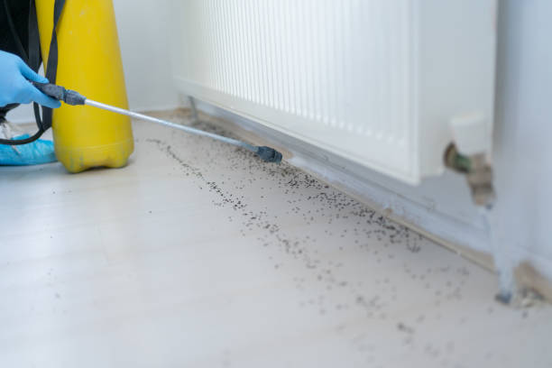Best Pest Inspection Near Me  in Belvidere, NJ