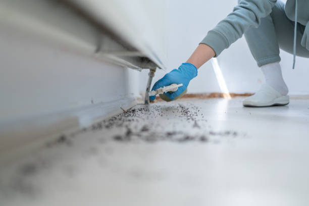 Best Exterminator Services  in Belvidere, NJ